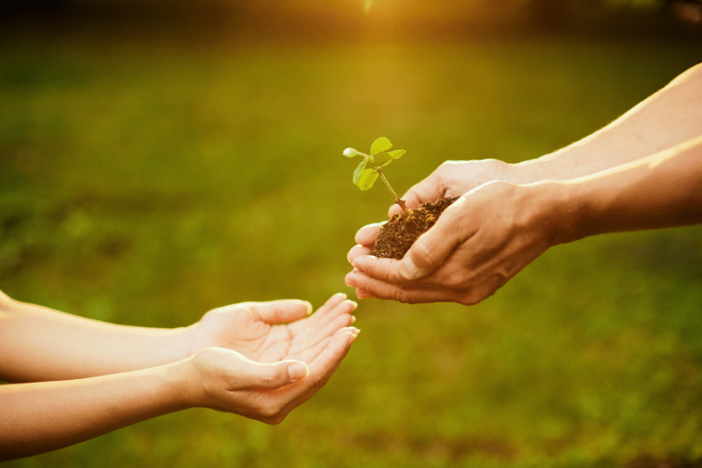 confianza: la base de toda relación